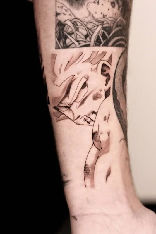 드래곤볼, 애니타투, 만화타투