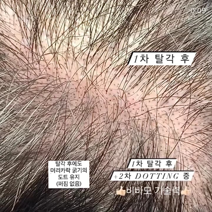 비바모