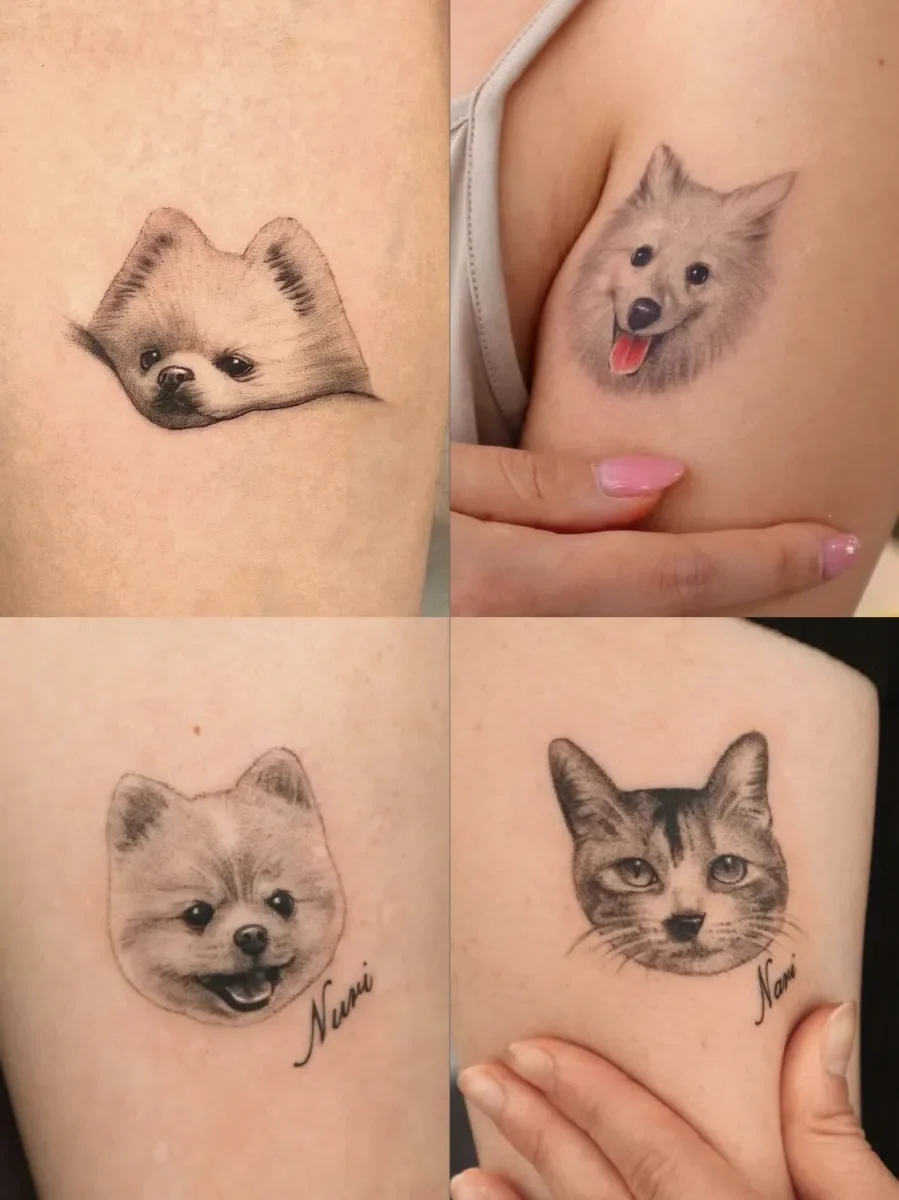 섬세한🤍 반려묘 반려견, 강아지 고양이, 귀여운, 가족, 레터링, 감성 추천✨ 나비, 꽃