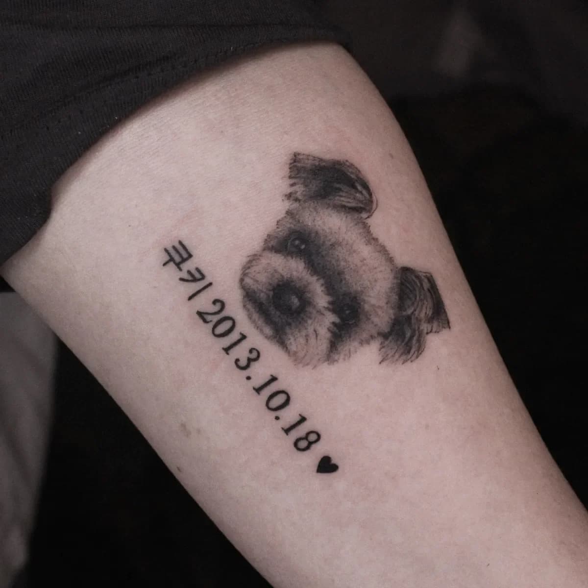 반려견 창원타투 마산타투 부산타투