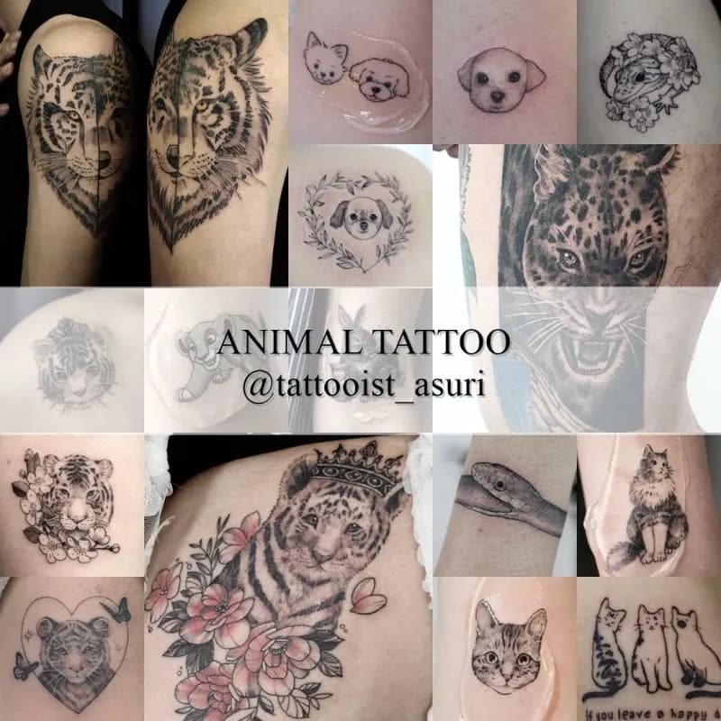 ๋๋ฌผํํฌ