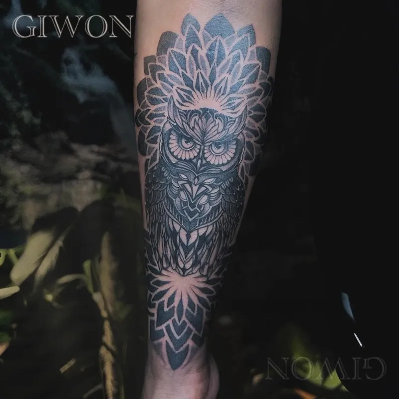 ๋ถ์์ด ํํฌ ๋ง๋ค๋ผํํฌ ์ฐฝ์ํํฌ