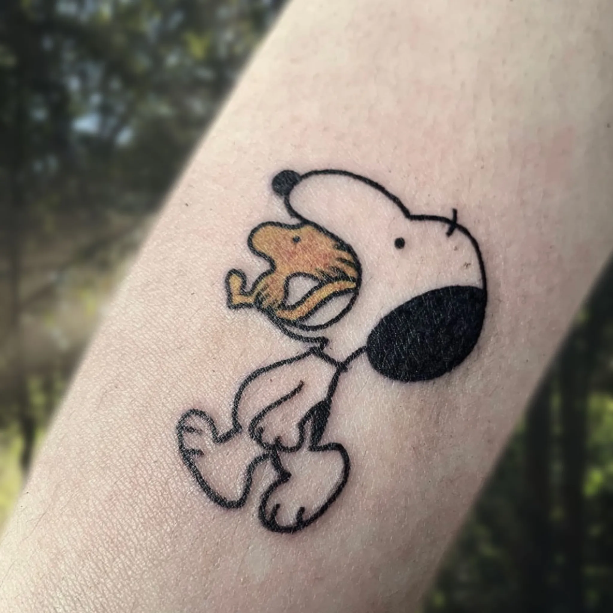 ๊ฒฝ์ฑ๋ ์ค๋ํผ ํํฌ - 1