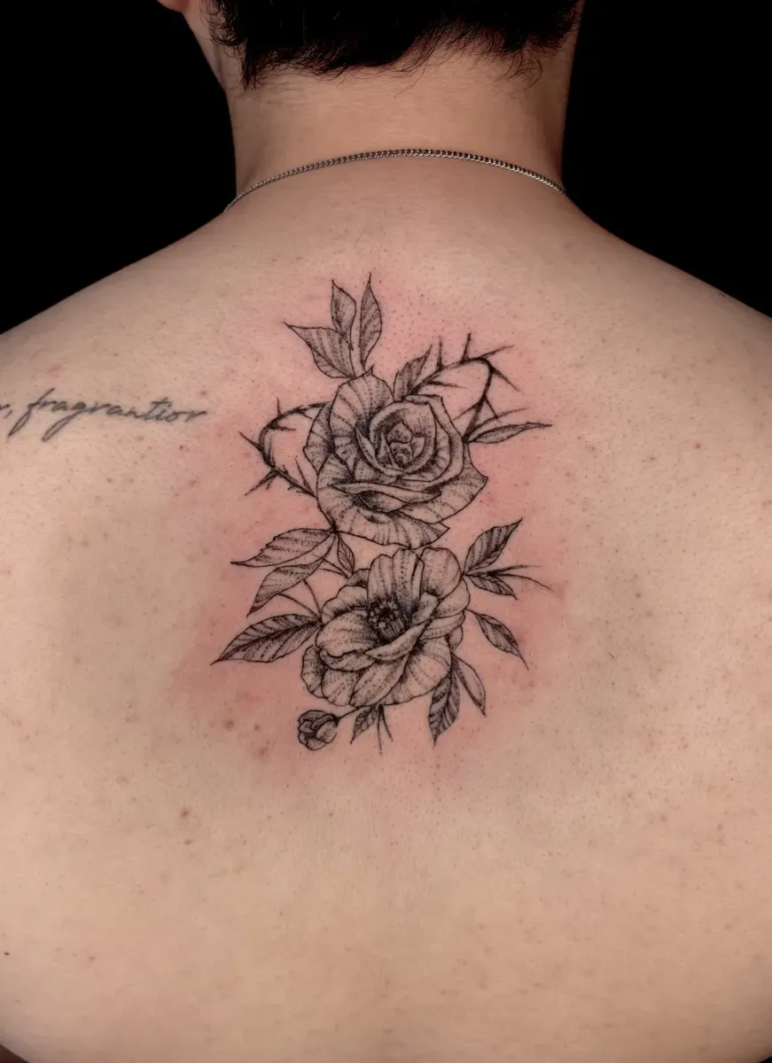 ์ฅ๋ฏธ ๋๋ฐฑ๊ฝ ํํฌ