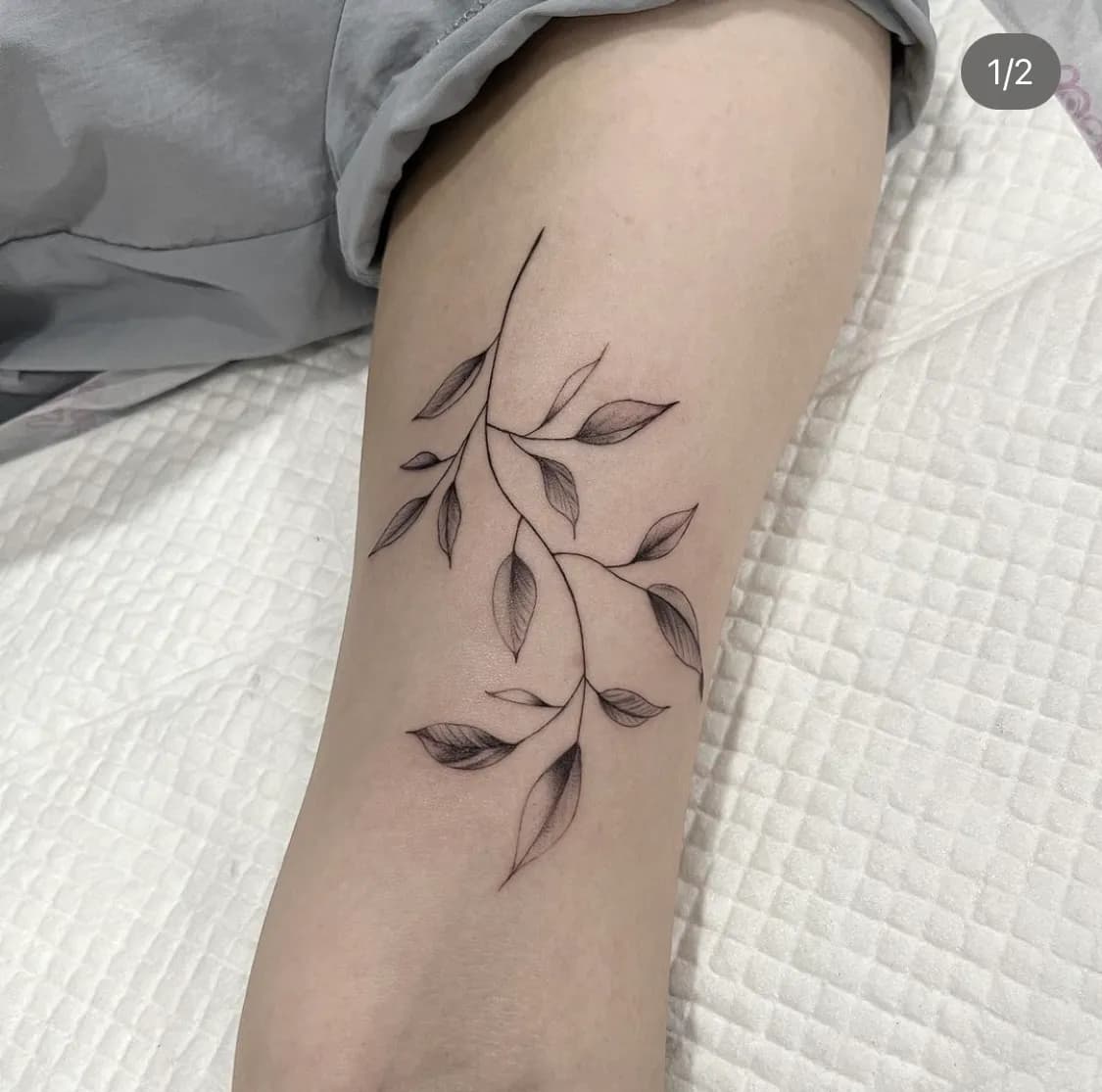 ๋๋ญ์ํํฌ - 1