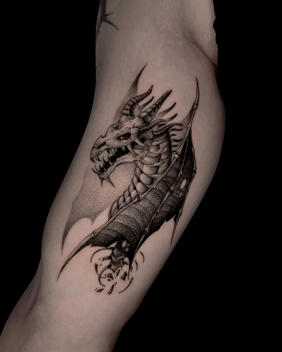 ๋๋๊ณค ์ฉ ํด๊ณจ ๋ธ๋์ํฌ ํํฌ - 1