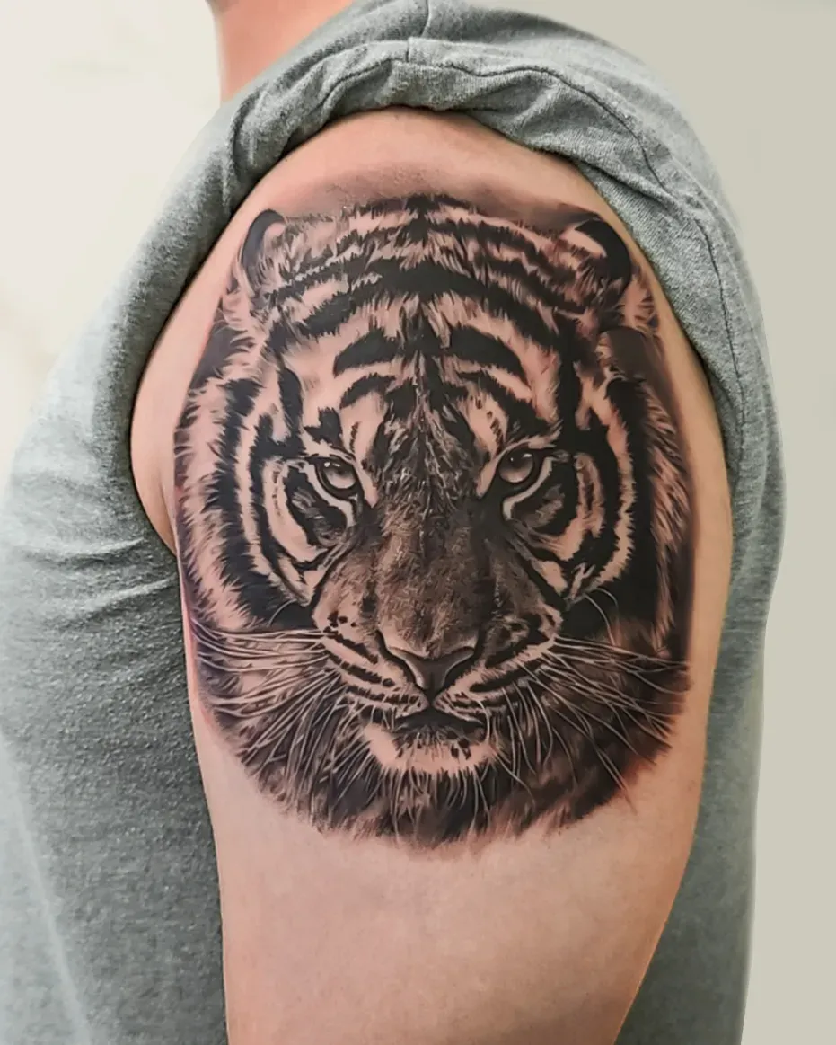 ํธ๋์ด๋ธ๋์ค๊ทธ๋ ์ด ์ด๊นจํํฌ