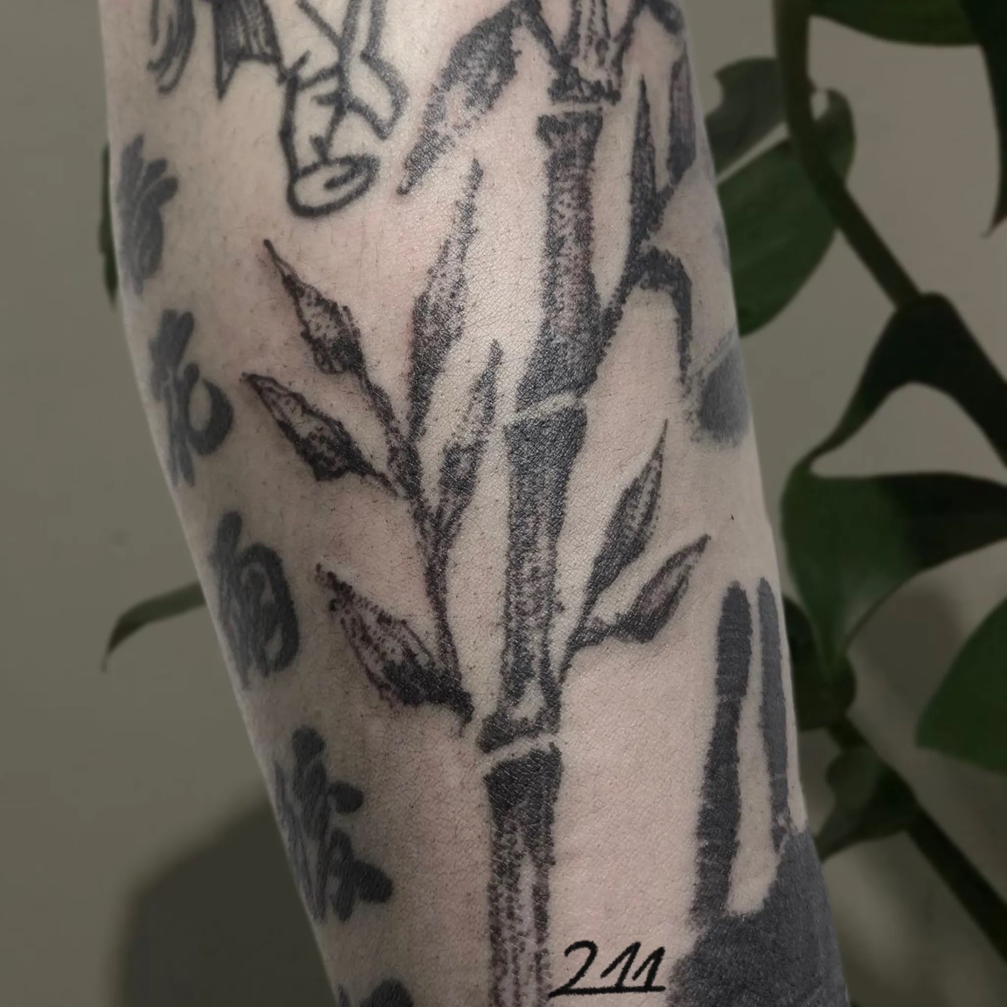 대나무 타투 - 1