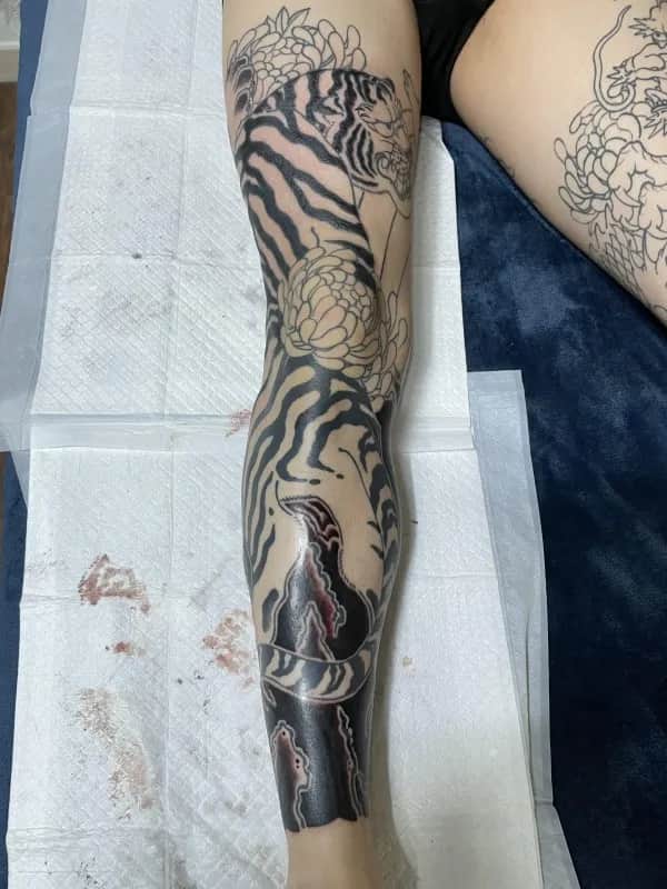 이레즈미) 호랑이 긴다리 라인가격