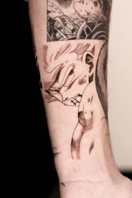 드래곤볼, 애니타투, 만화타투