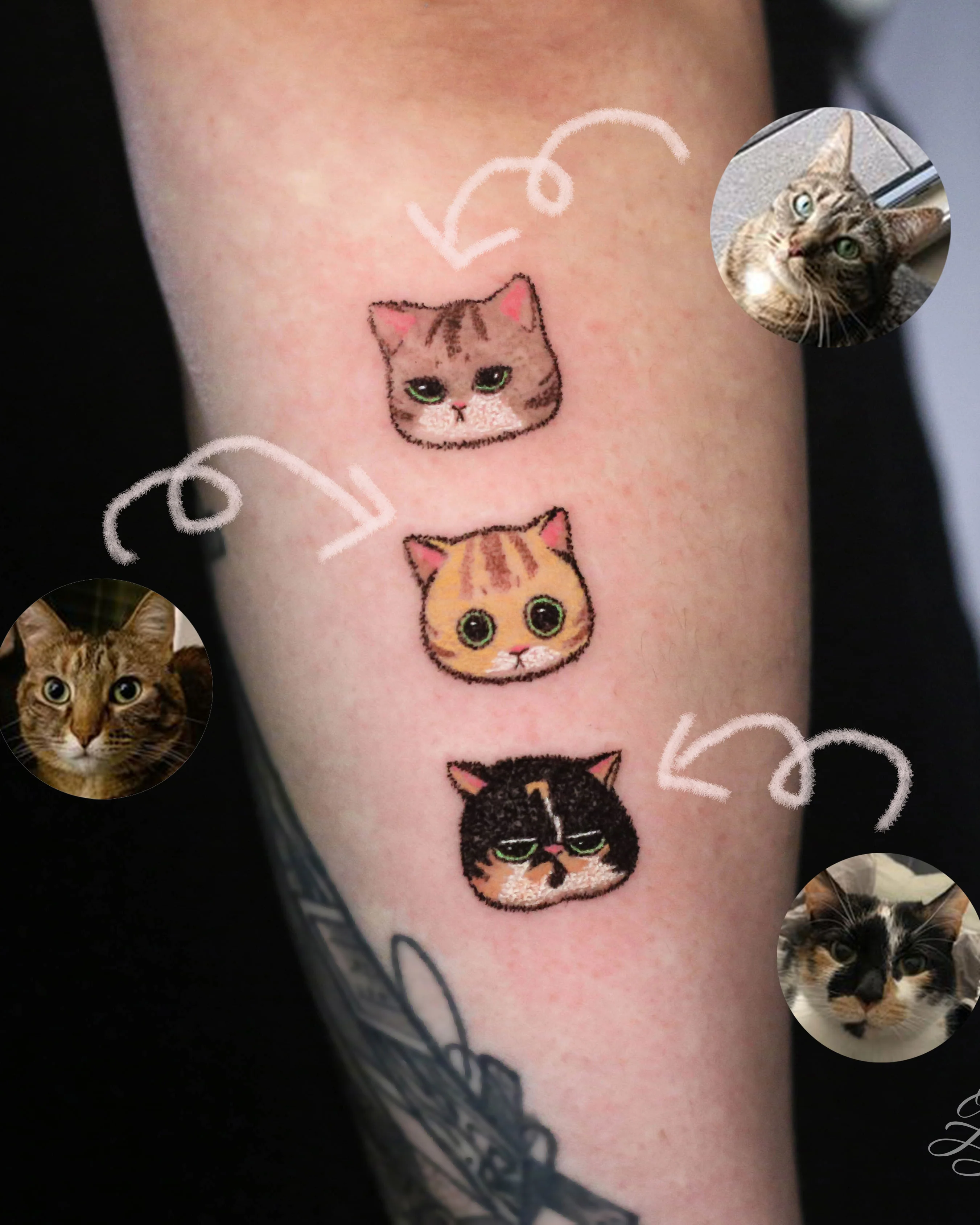 반려묘 타투