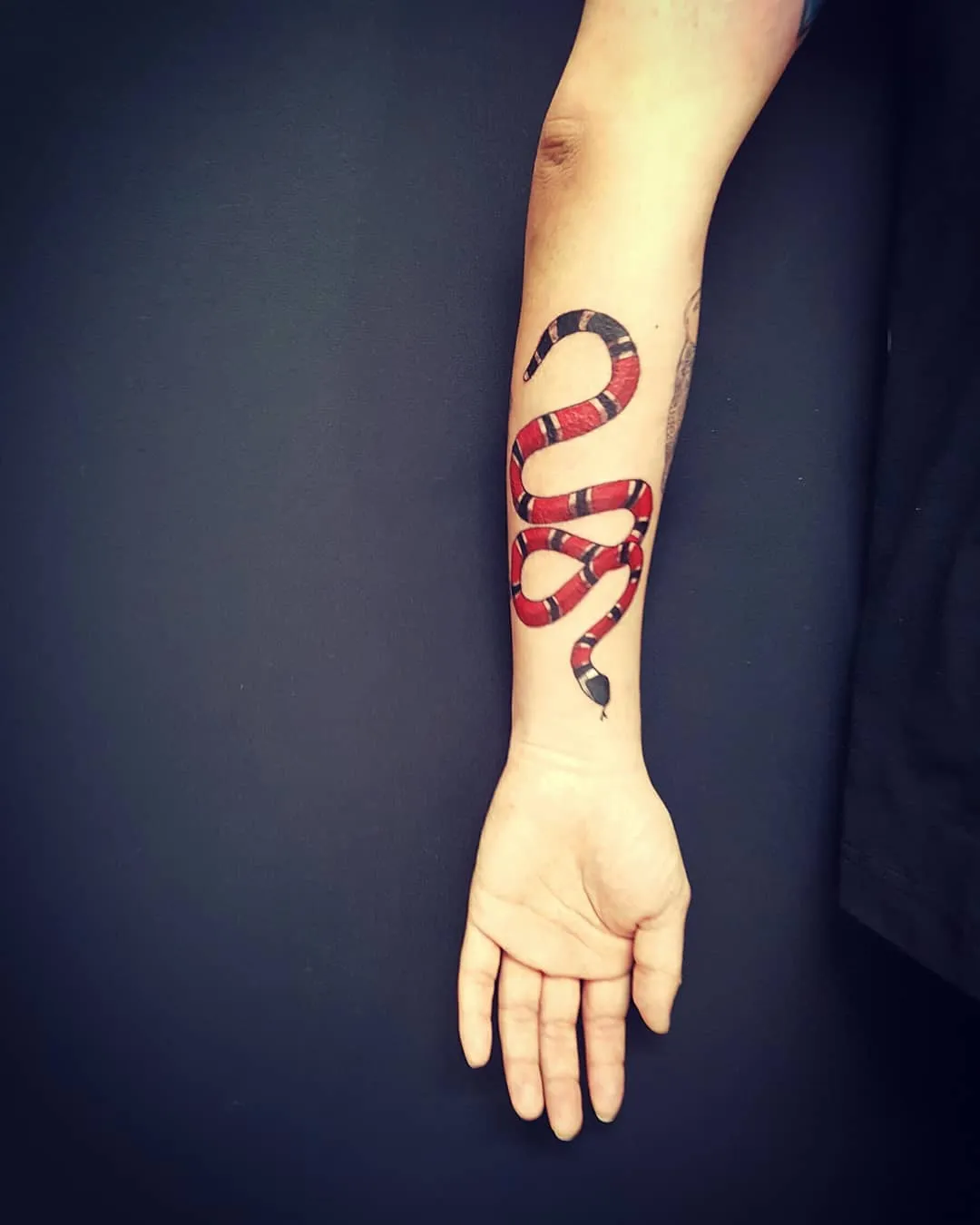 목포타투 TS타투 구찌뱀 타투 - 1