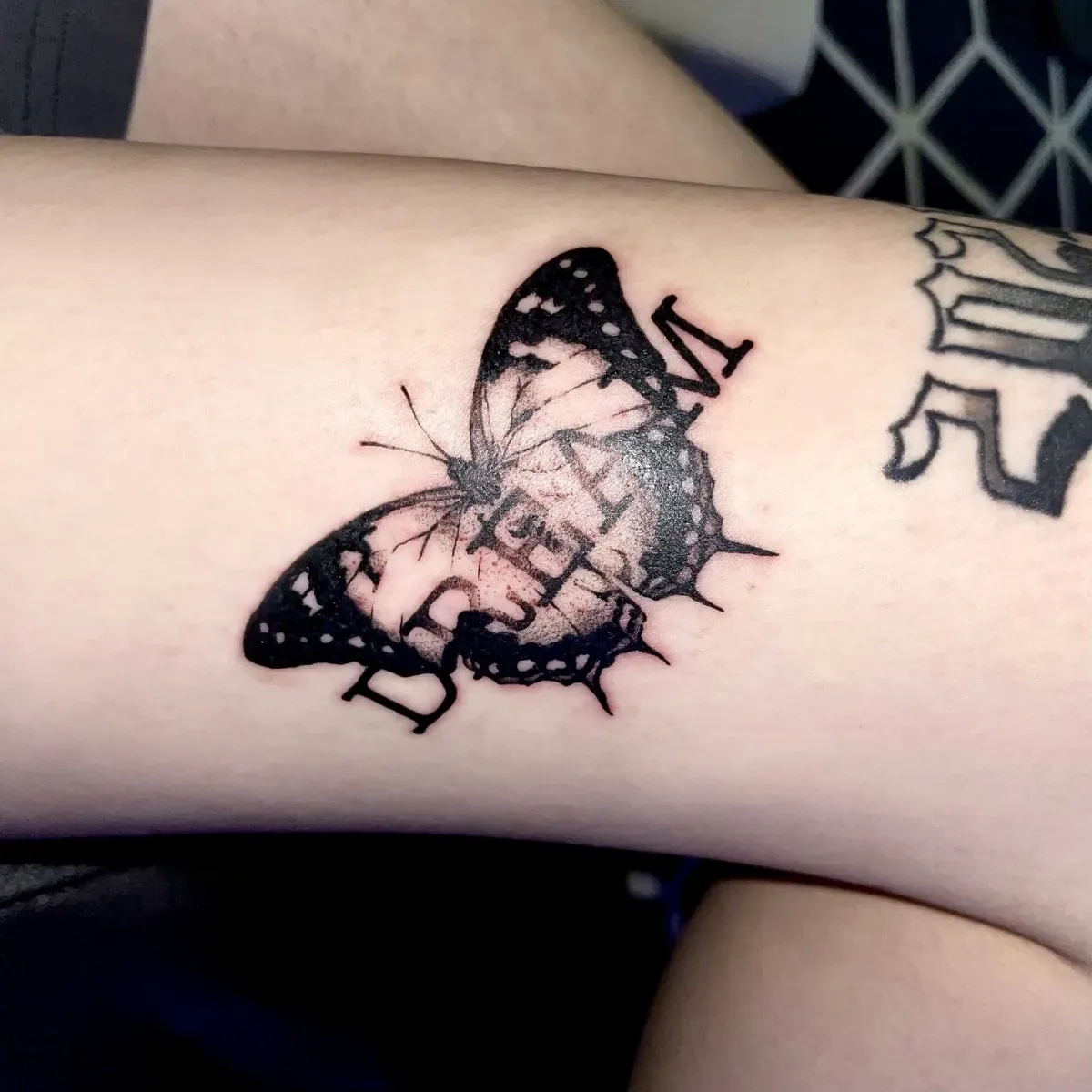 ๋ ํฐ๋ง ๋๋น ํํฌ