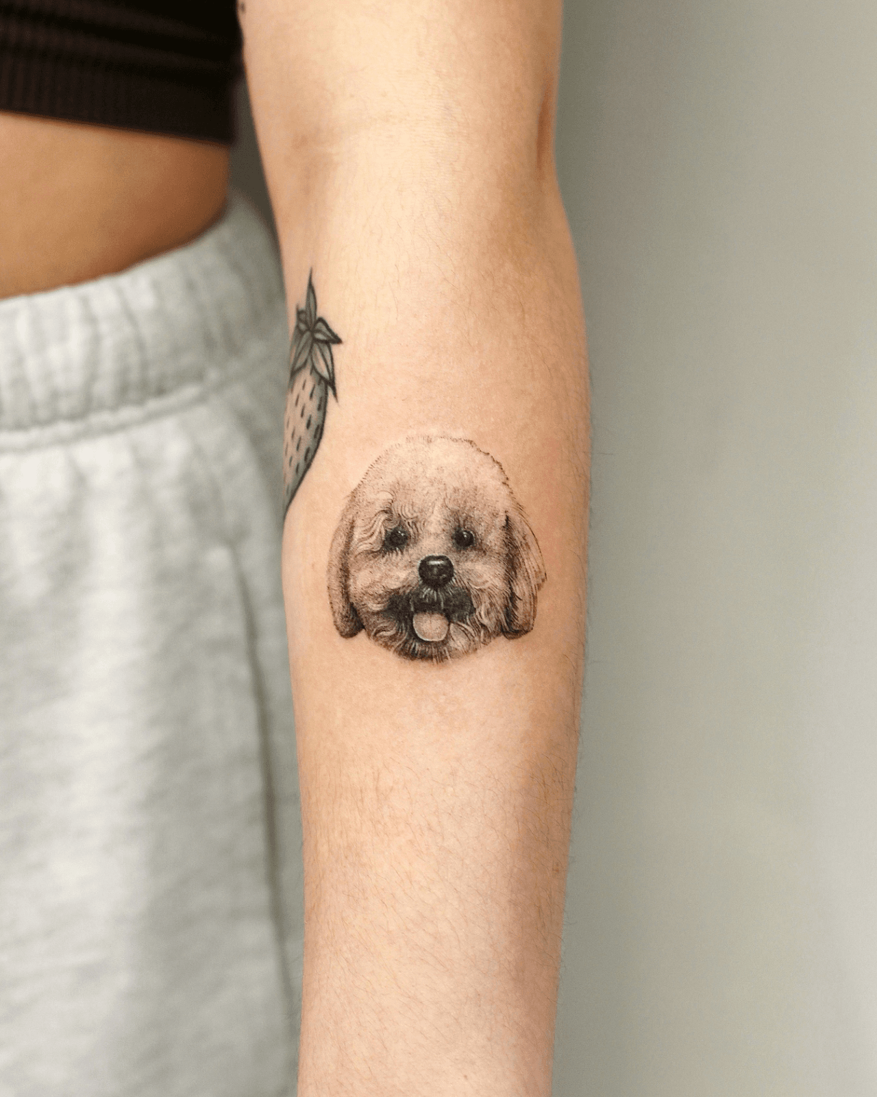 반려견타투🐶
