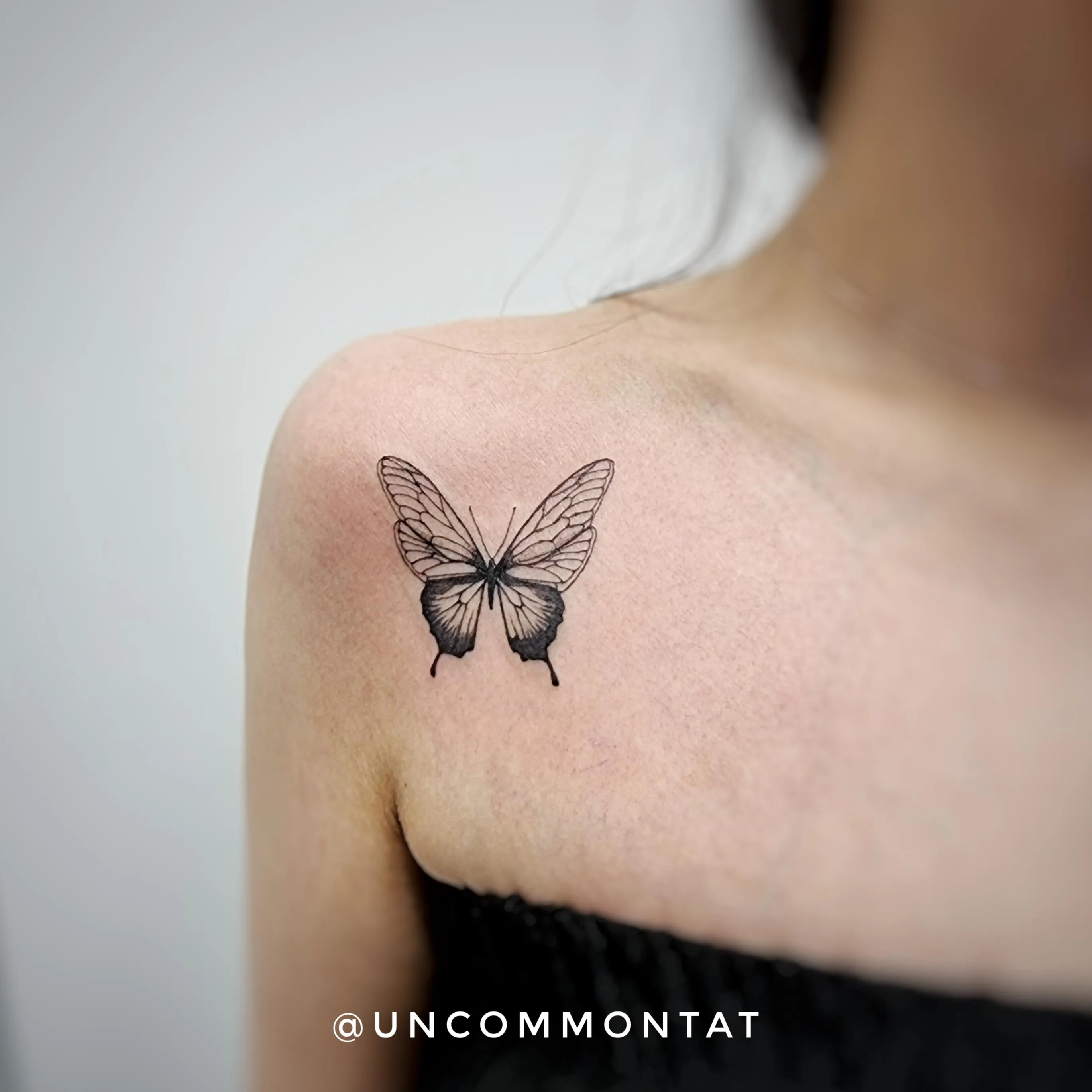 แดษดแดแดแดแดแดษด แดแดแด - 1