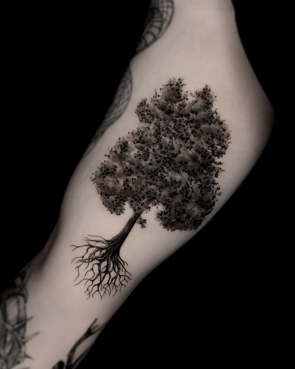 ๋๋ฌด ๋ธ๋์ํฌ ํํฌ - 1