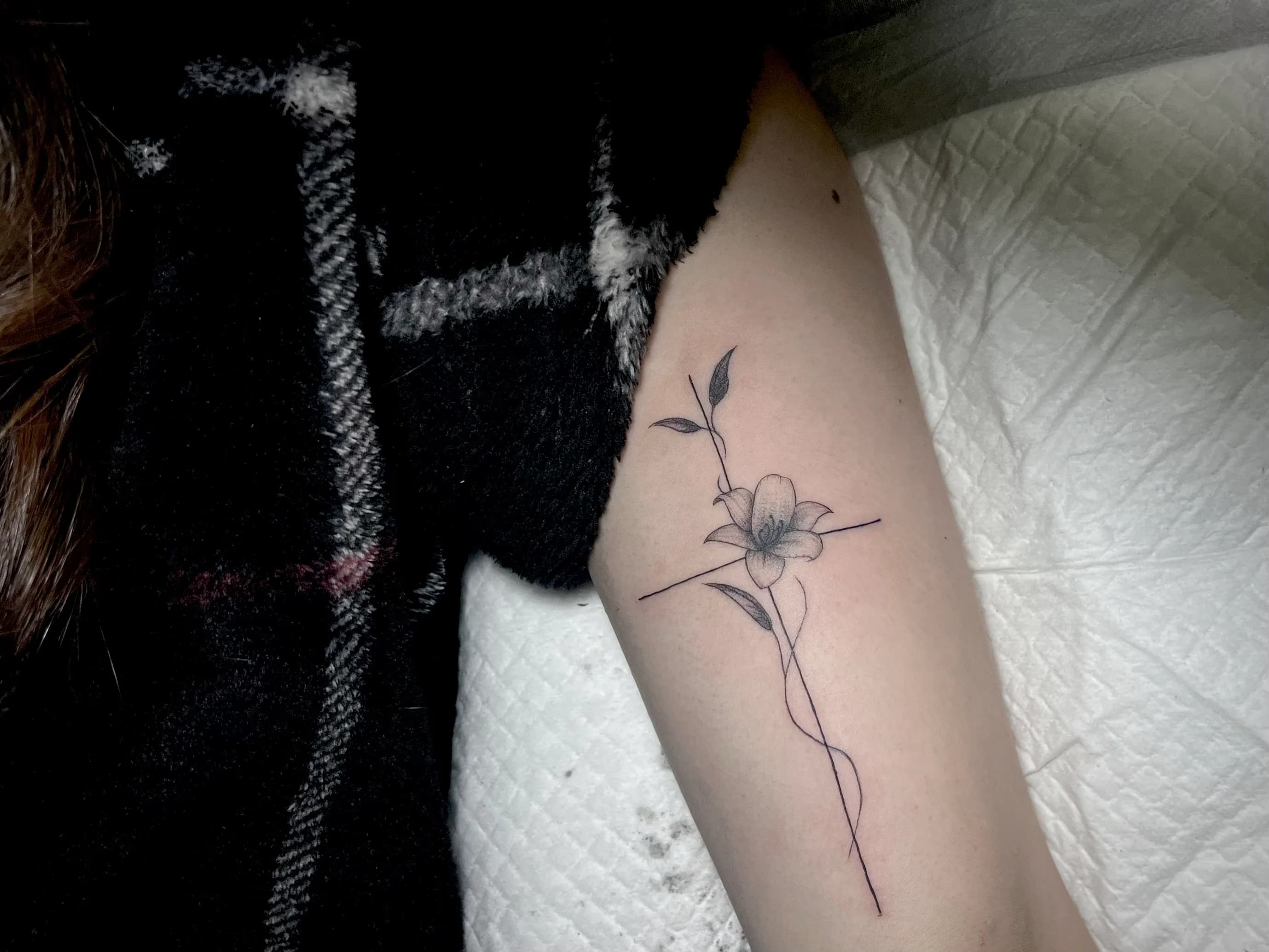 ์ญ์๊ฐ ๊ฝ ํํฌ ๋ฐฑํฉ - 1