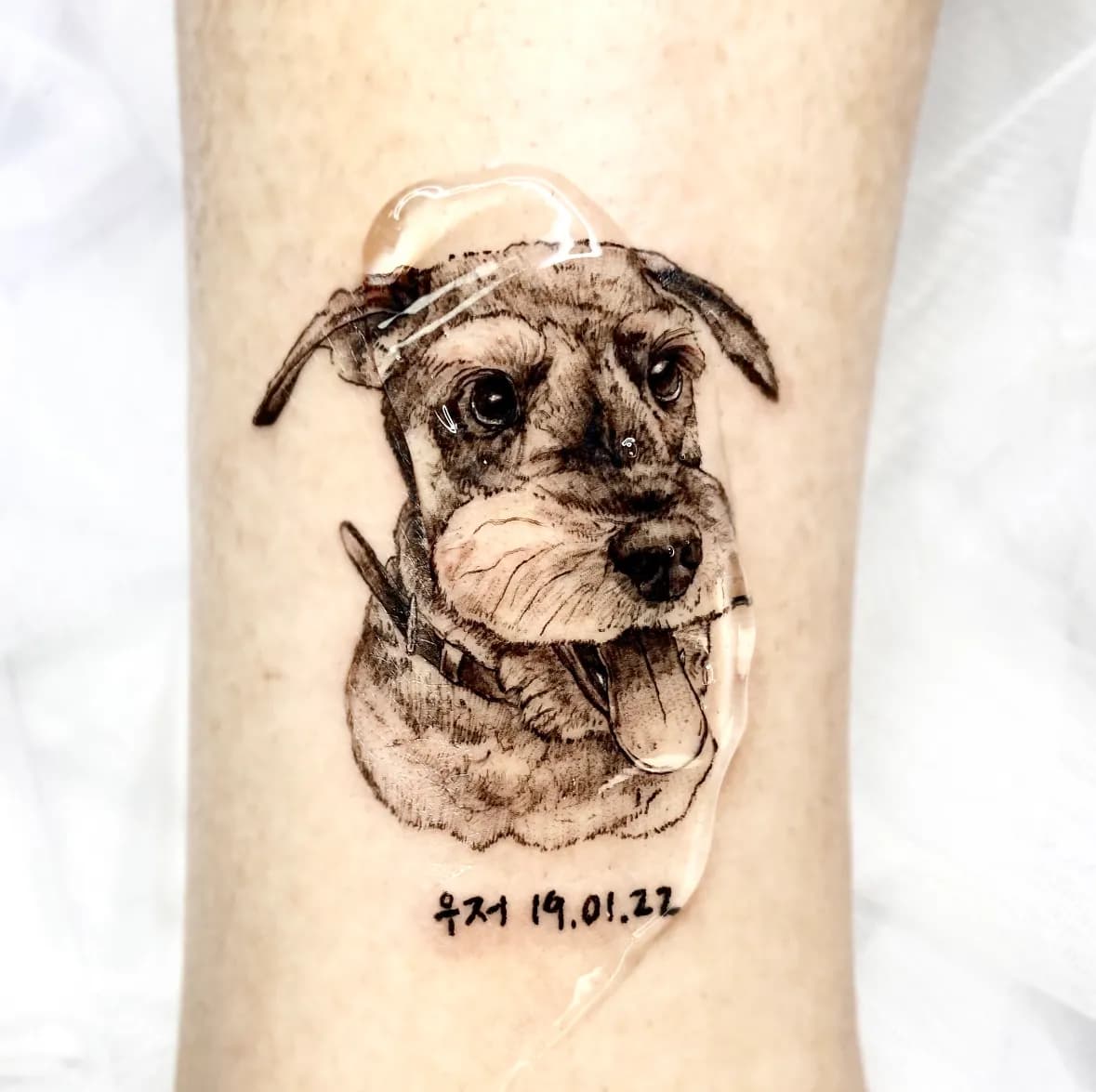 ๋ฐ๋ ค๊ฒฌํํฌ - 1