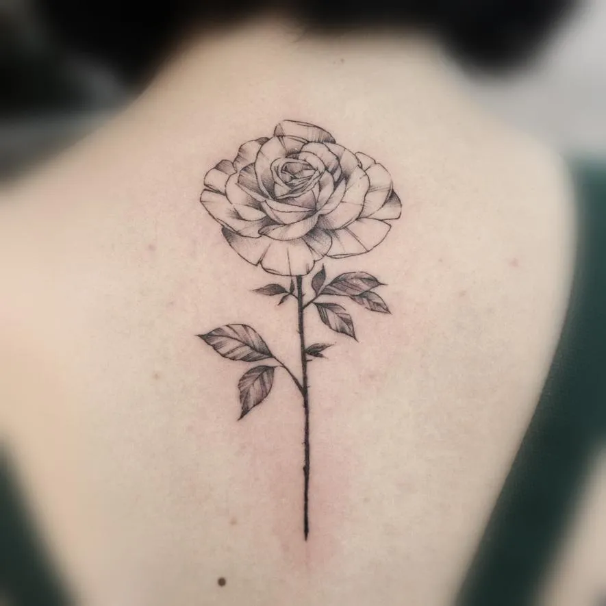 ๊ฐ์ฑํํฌ ์ฅ๋ฏธ๊ฝ - 1