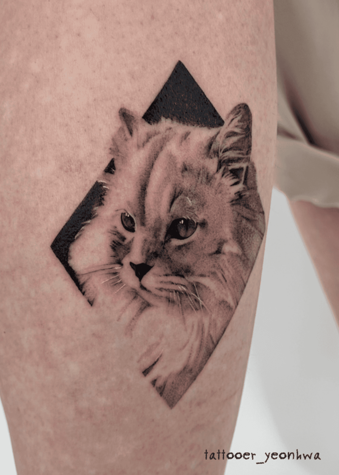 반려묘 고양이타투🐱