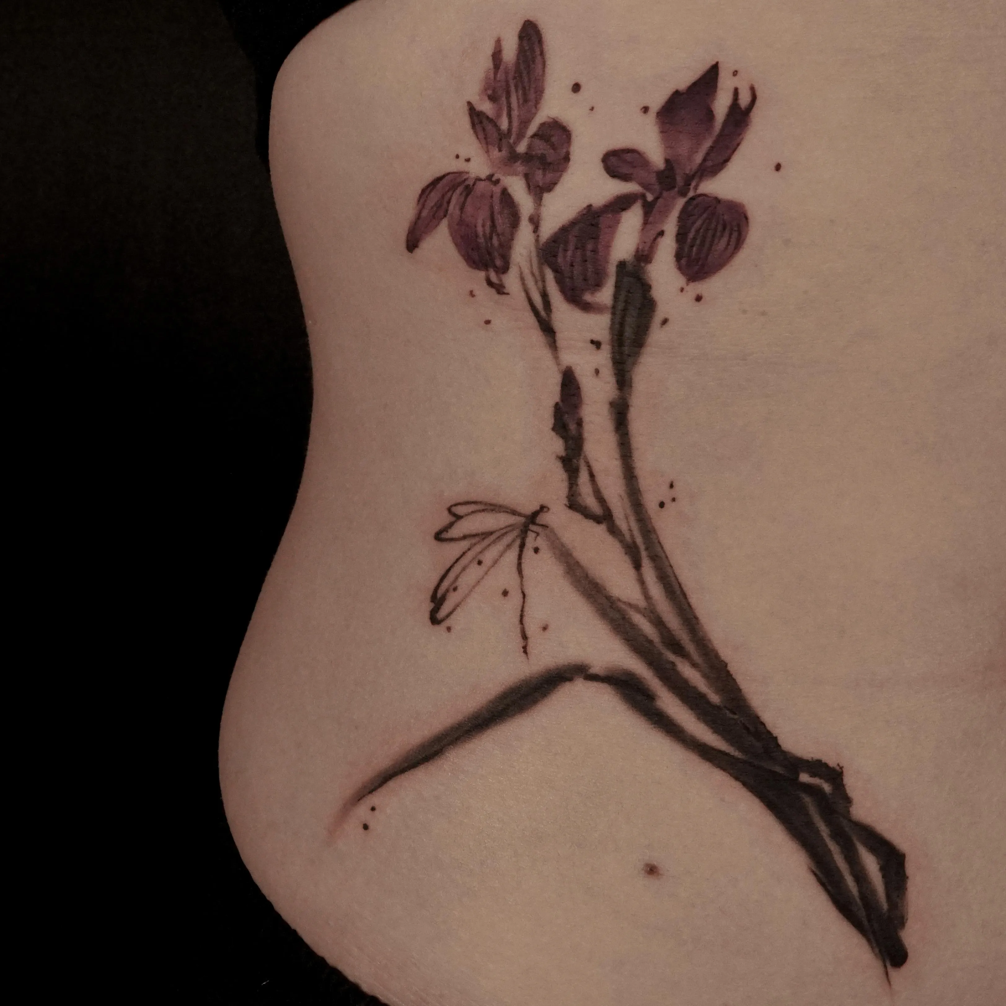 붓꽃 수묵담채화