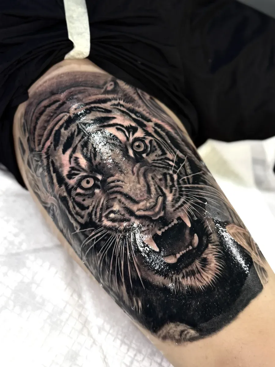 호랑이 블랙앤그레이 - 1