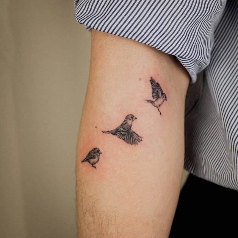 참새타투 남자팔타투 tattooist_petal