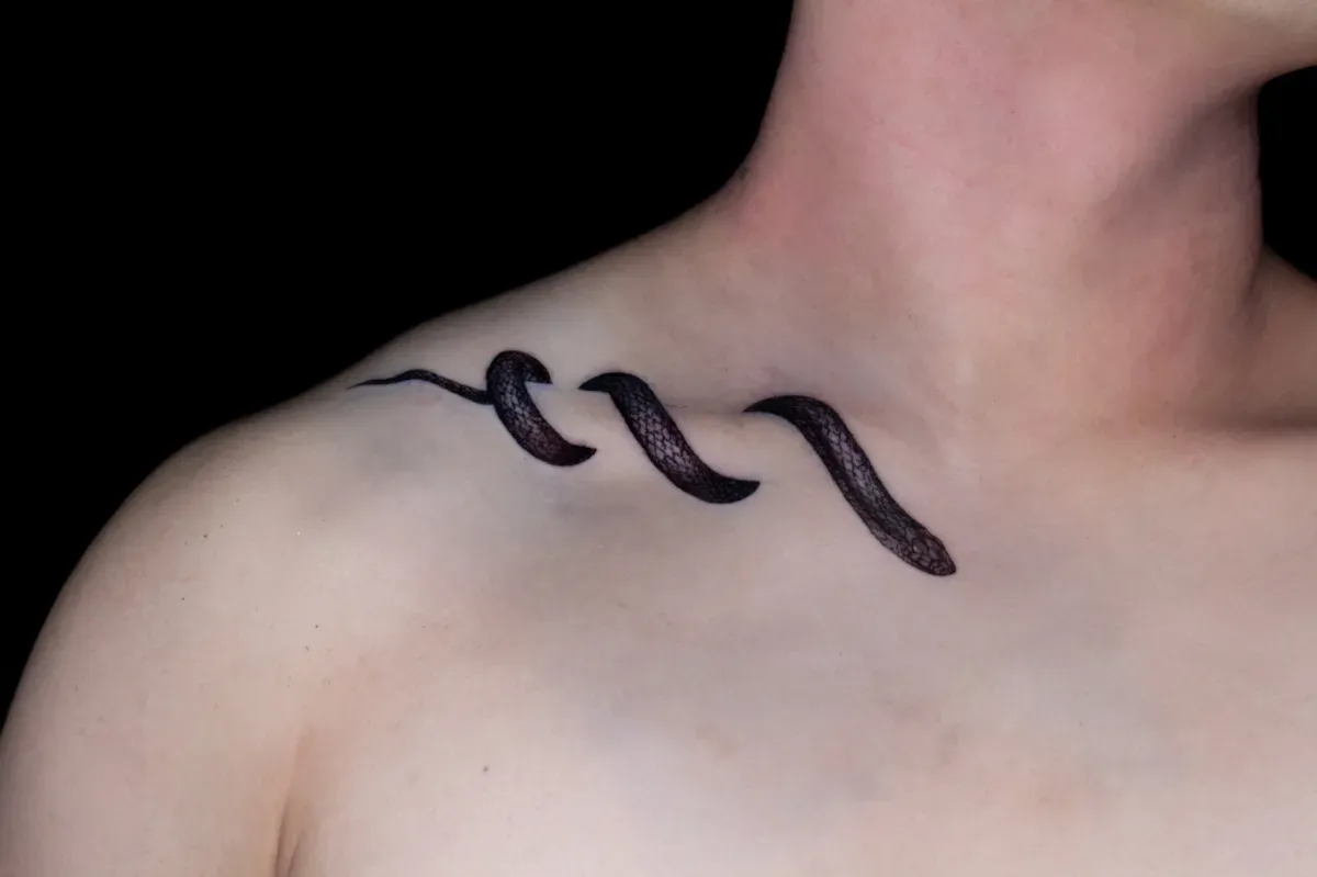 쇄골을 감싼 뱀 - 1