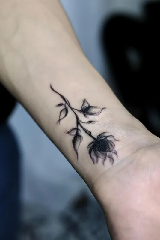 ์ปค๋ฒ์
ํํฌ