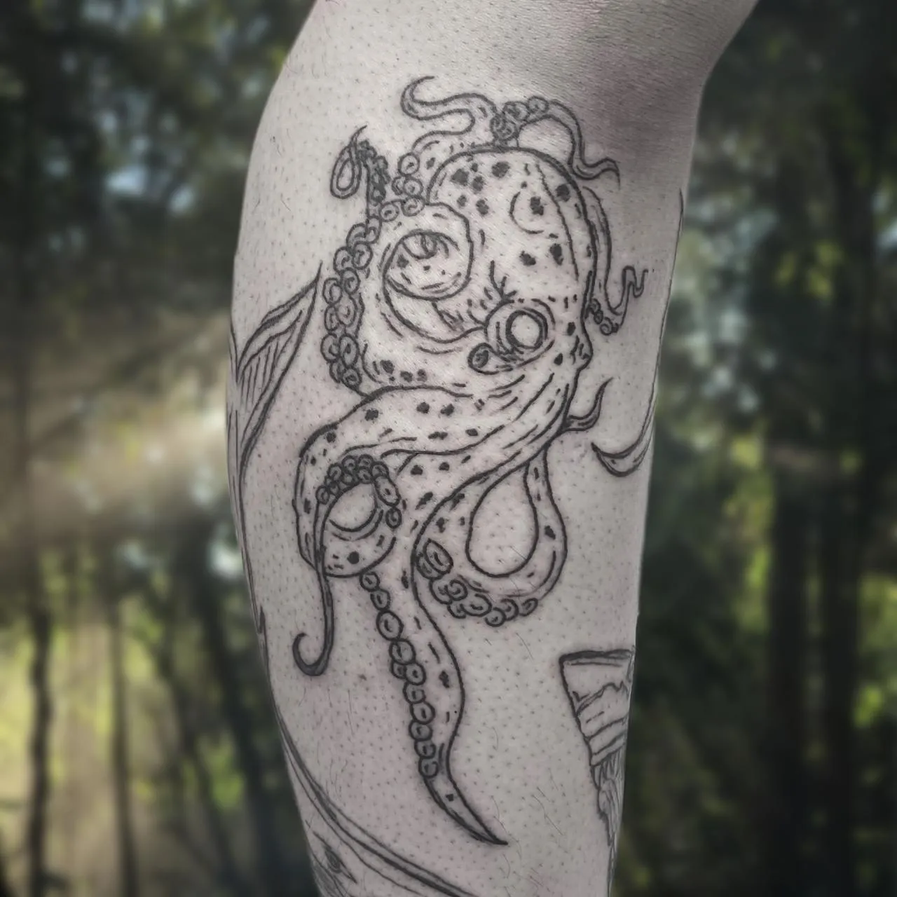 ์ค์ผ์น ๋๋์ ๋ฌธ์ด์
๋๋ค - 1