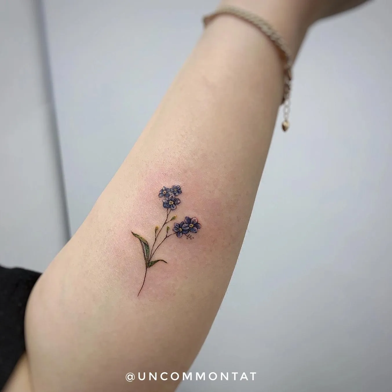 แดษดแดแดแดแดแดษด แดแดแด