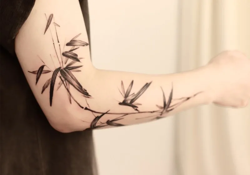 ๋๋๋ฌด ๋๋ฌด ์ ์์ฌ๊ท ๋๋ญ์ 🍃 - 1