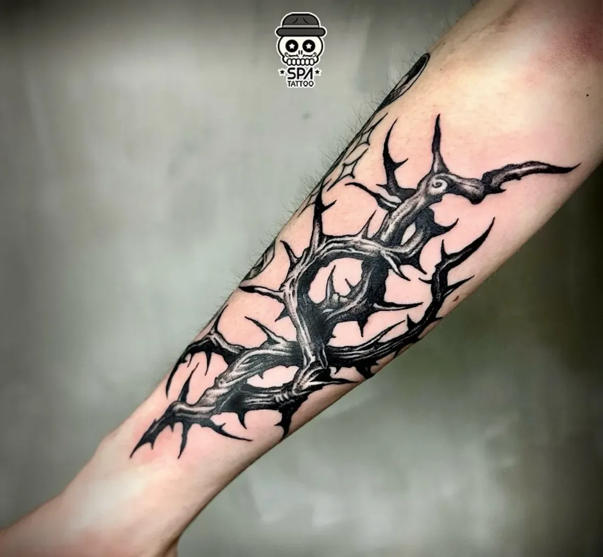 ์๋ํ ๋ธ๋์ํฌ ๊ฐ์ ๋๋ฌด ํํฌ - 1