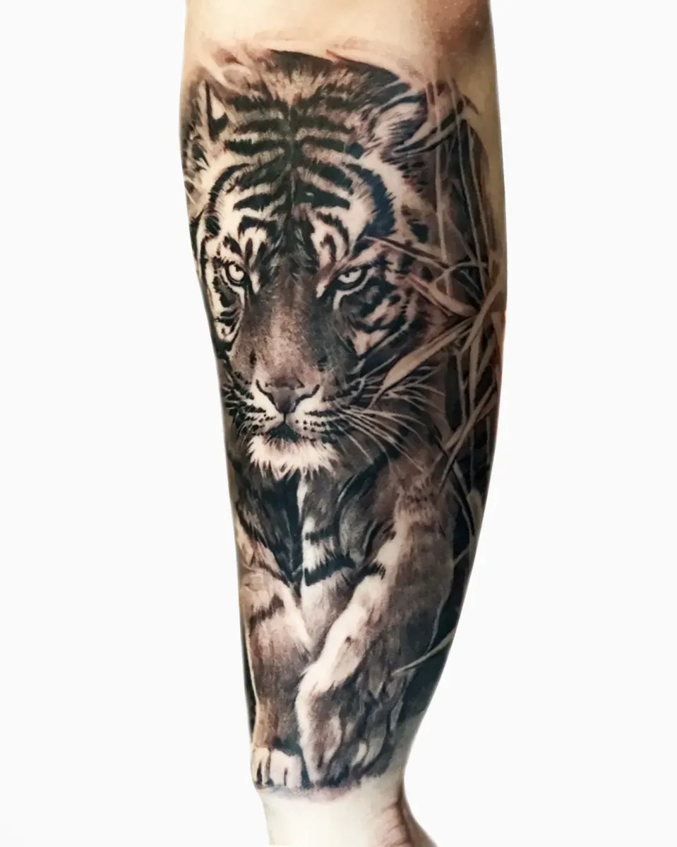 ํธ๋์ดํํฌ ๋ธ๋์ค๊ทธ๋ ์ด ๋๋๋ฌดํํฌ