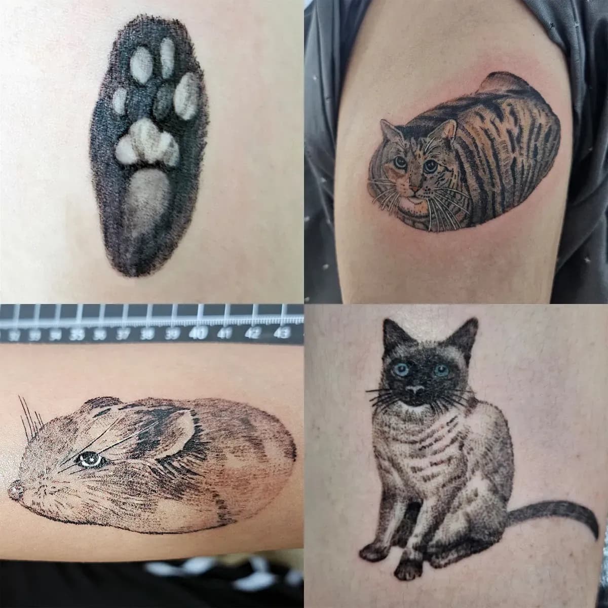 반려동물타투 햄스터타투 블랙앤그레이타투 인천타투 부천타투 부평타투 김포타투 최상의 작품을 만들어드립니다 - 1