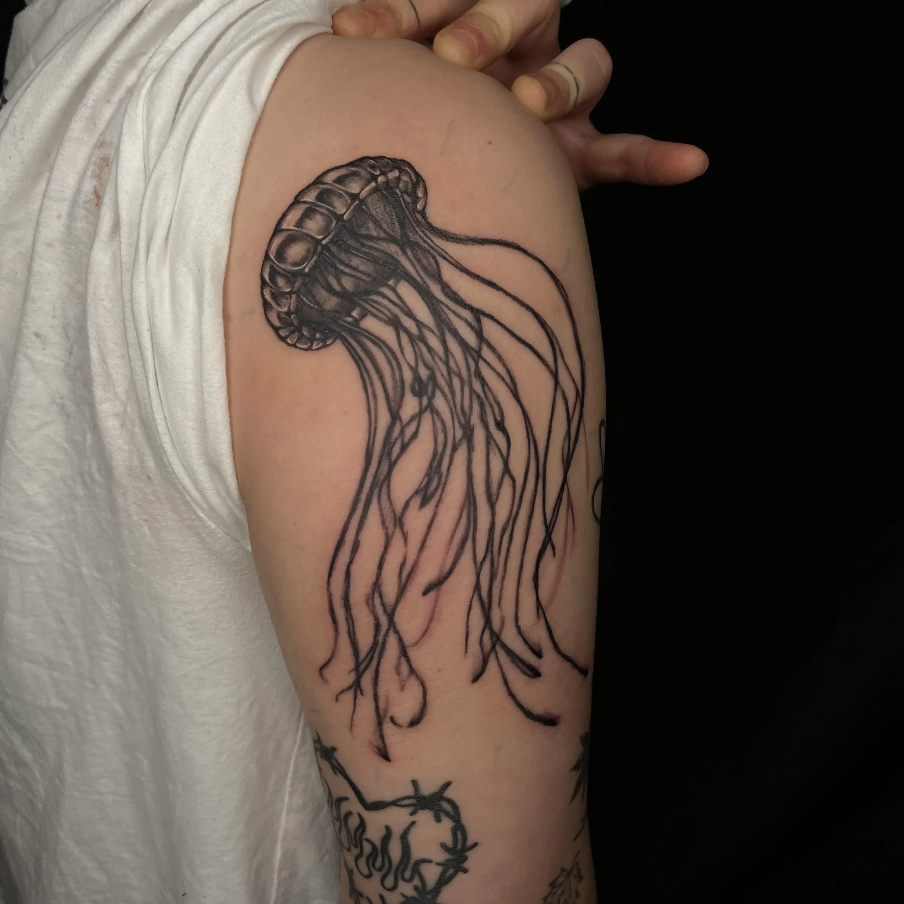 젤리피쉬타투 - 1