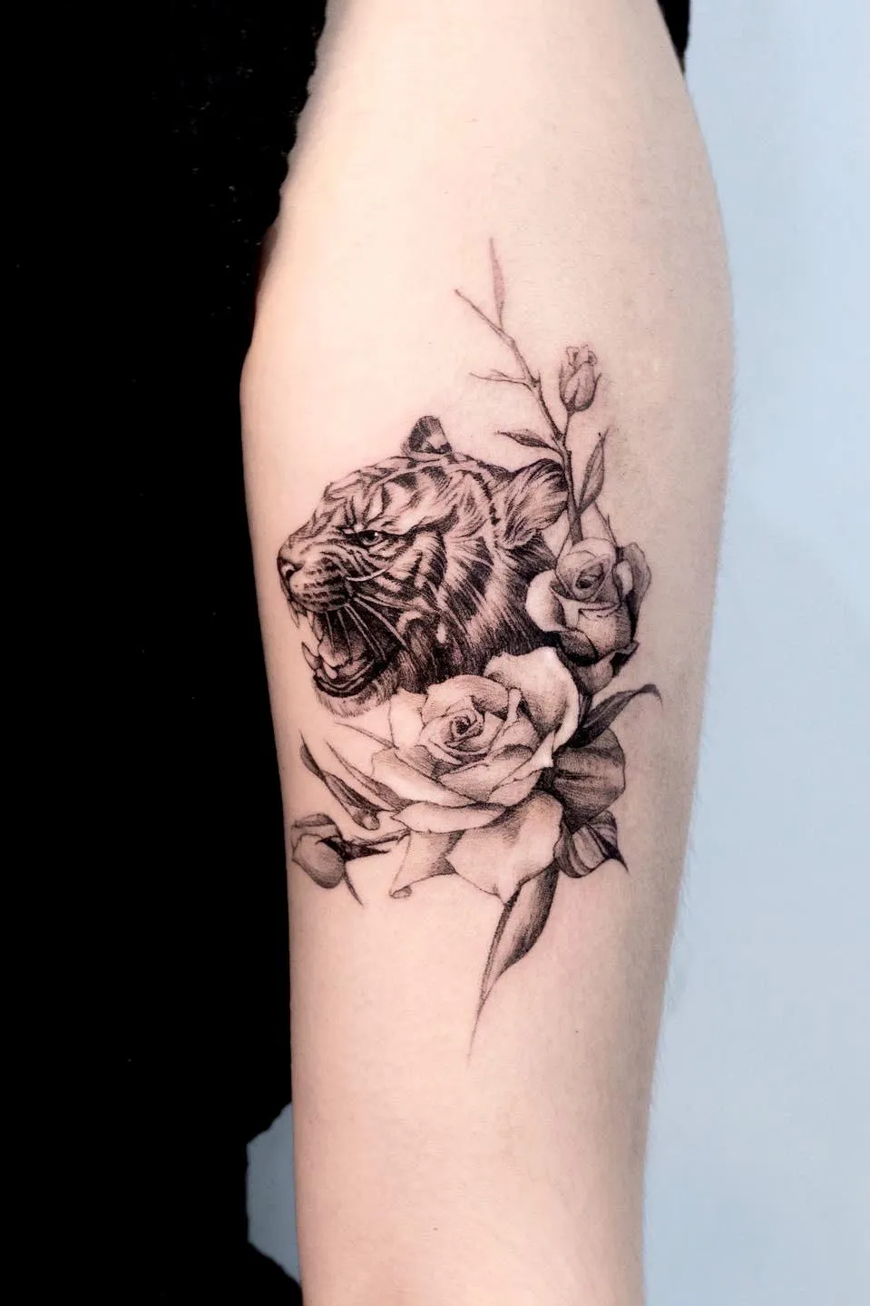 ํธ๋์ด์ ์ฅ๋ฏธ🌸 - 1