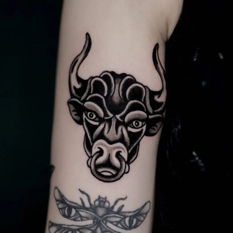 블랙스쿨 올드스쿨 황소