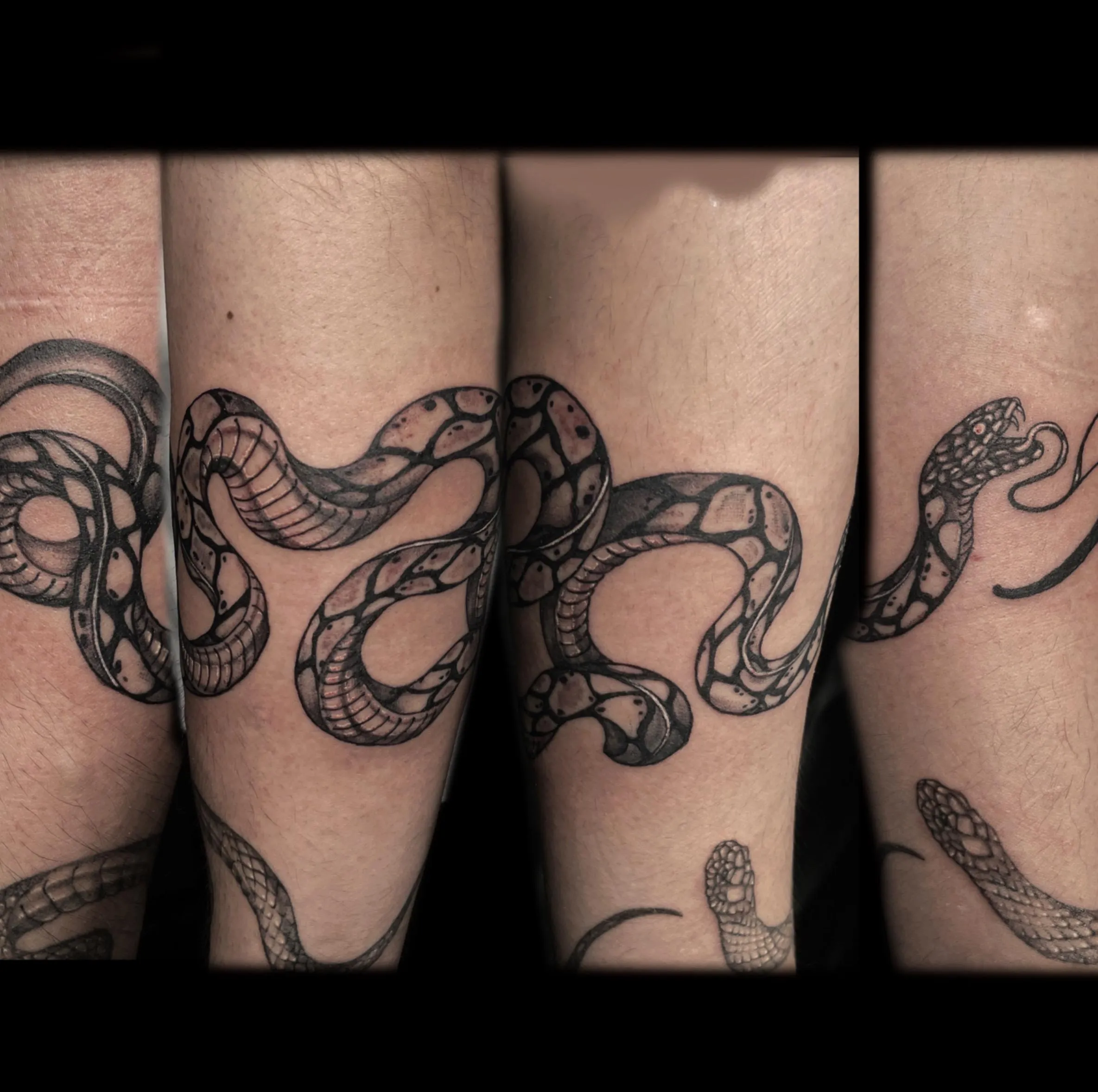 뱀타투 밴드타투 - 1