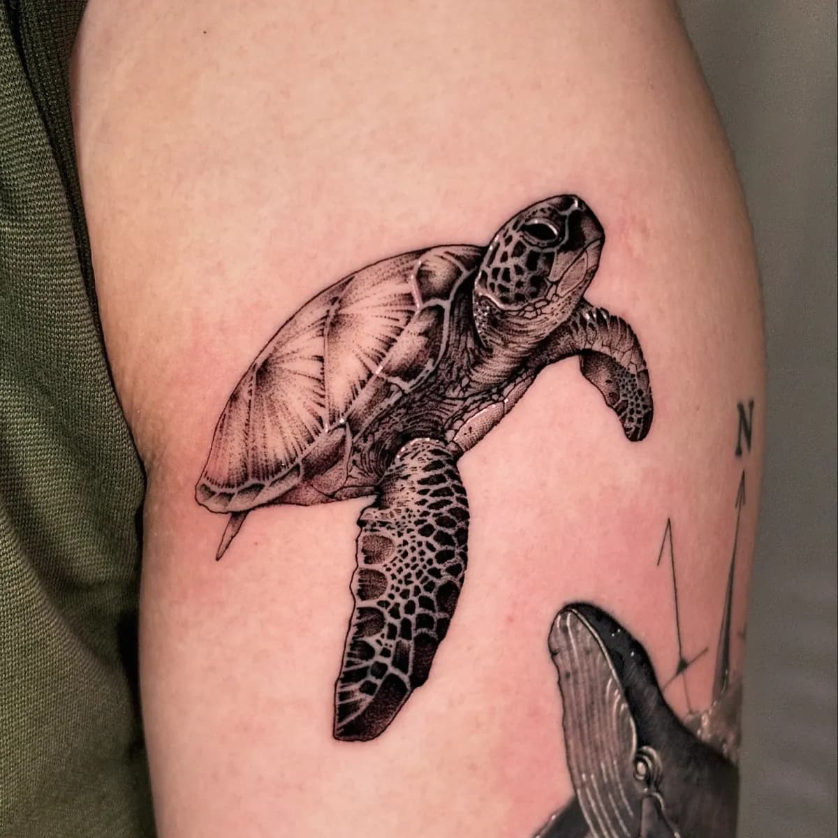 ๋ฐ๋ค ๊ฑฐ๋ถ์ด ๋ธ๋์ํฌ ํํฌ - 1