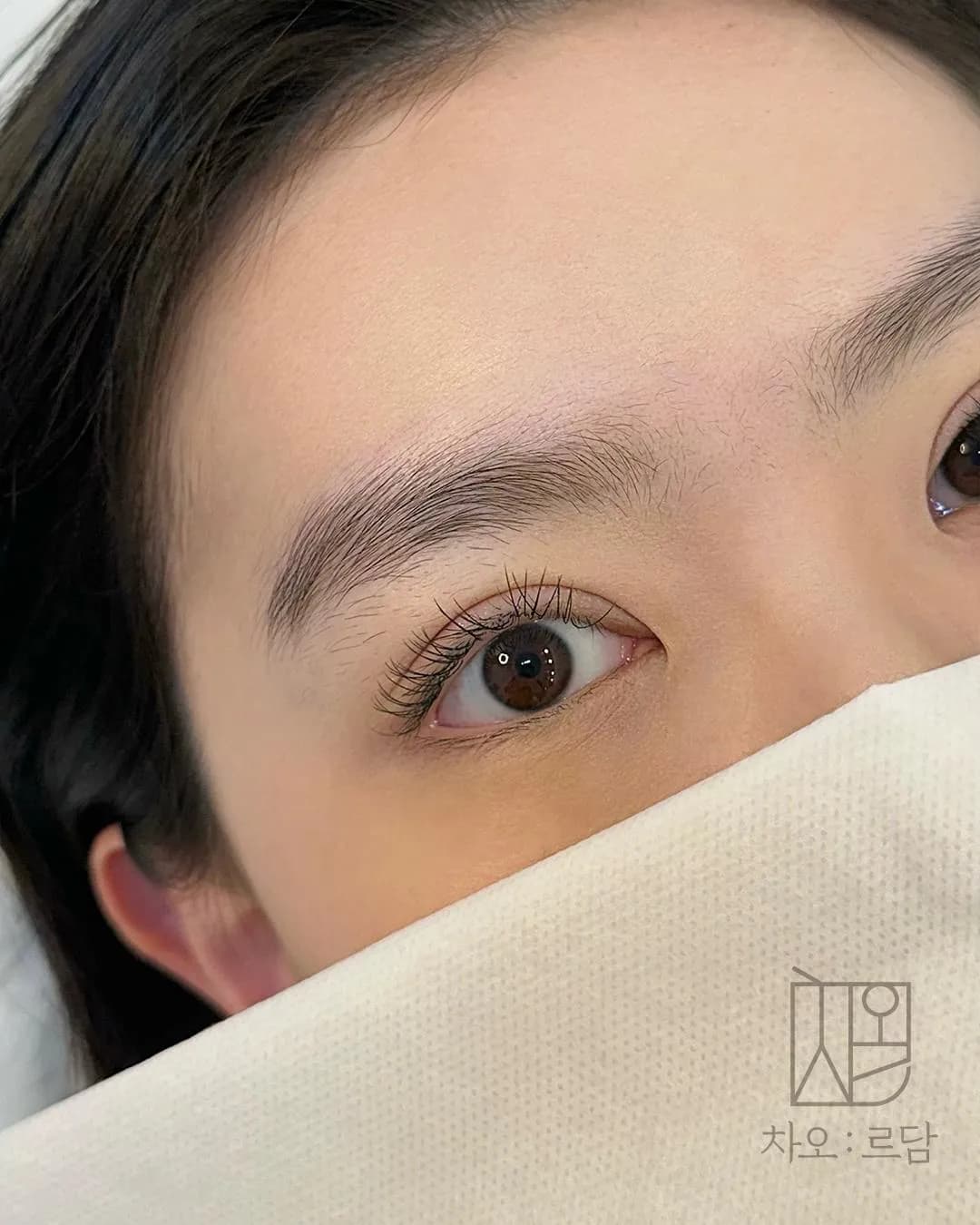 차오르담 여자눈썹