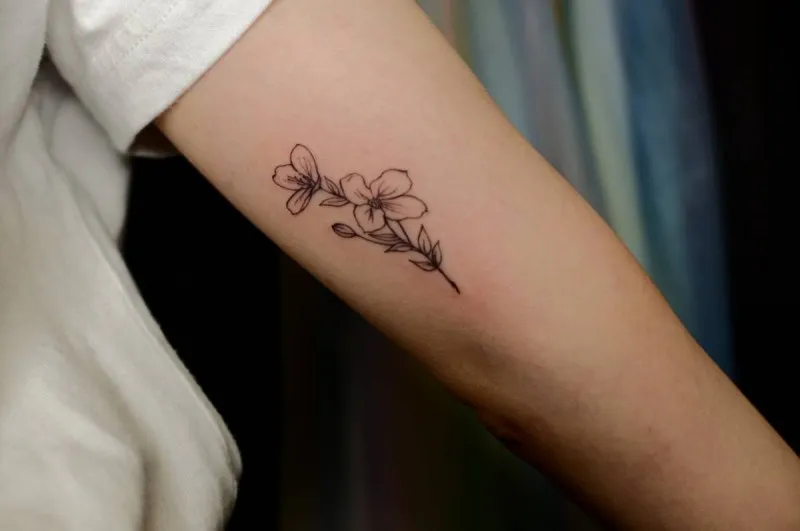 탄생화 라인워크 tattooist_petal