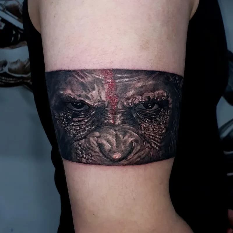 ํน์ฑํ์ถ - 1