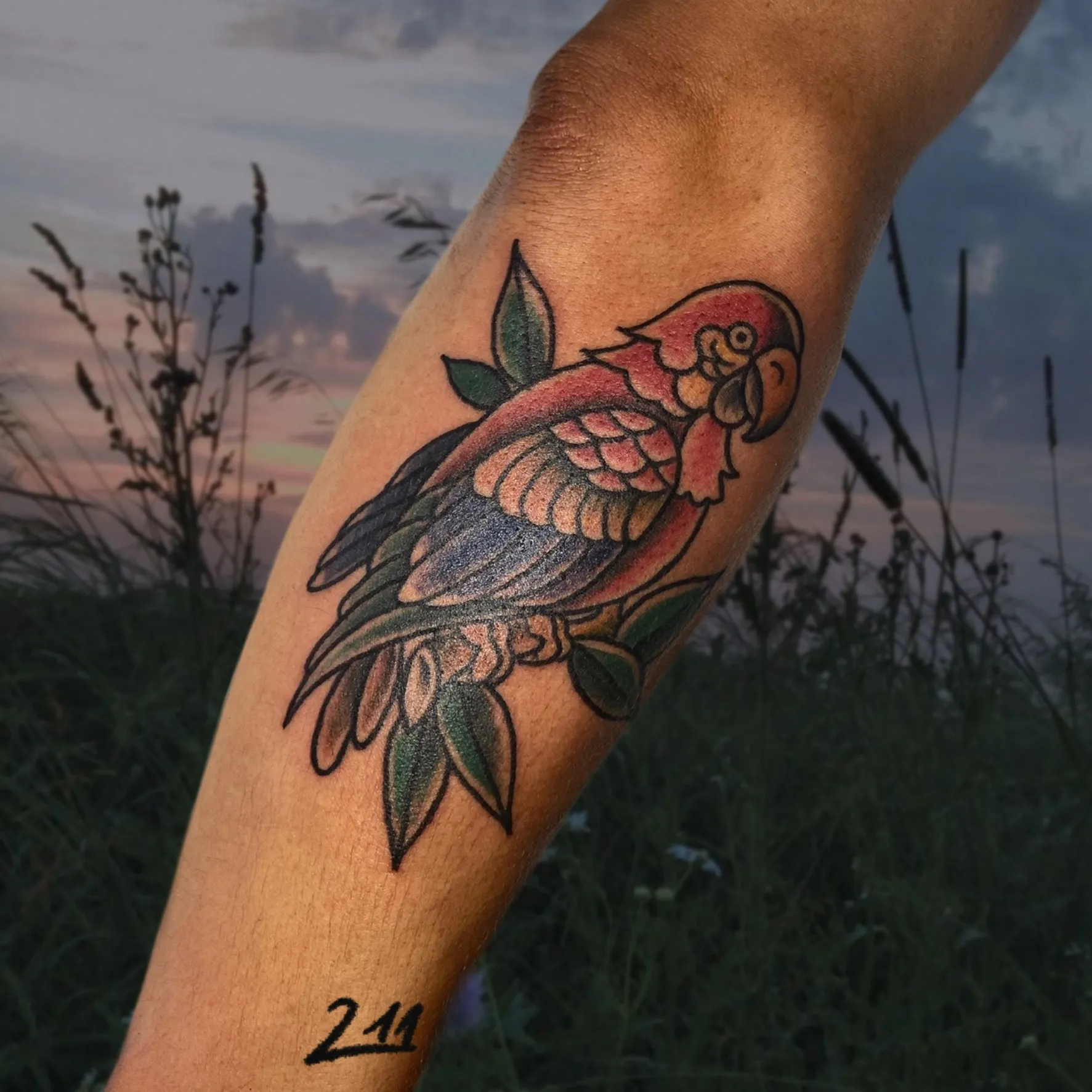 올드스쿨 앵무새 타투 - 1