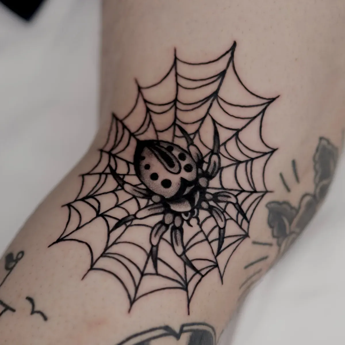 블랙스쿨 올드스쿨 거미줄&거미