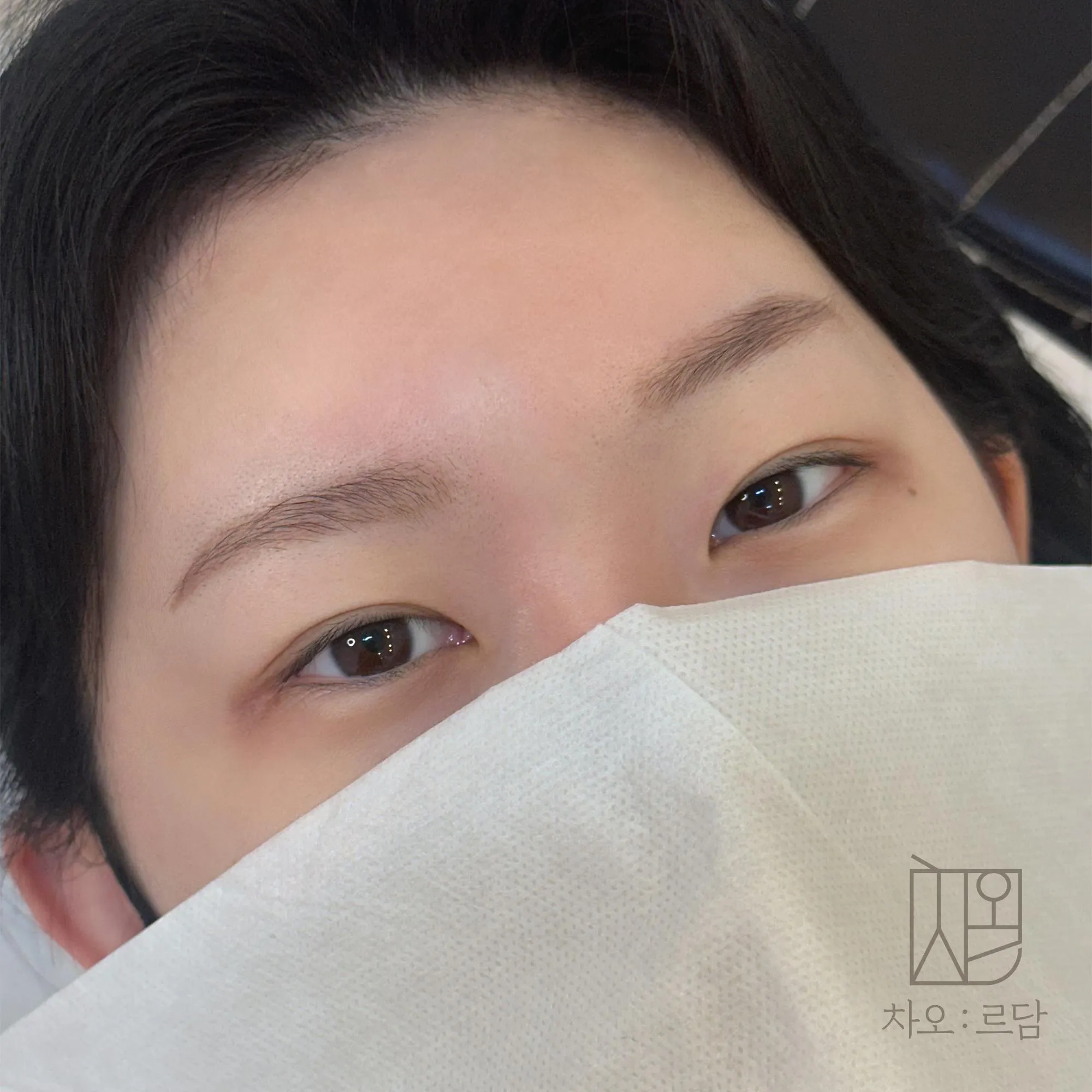 차오르담 섀도우눈썹 - 1