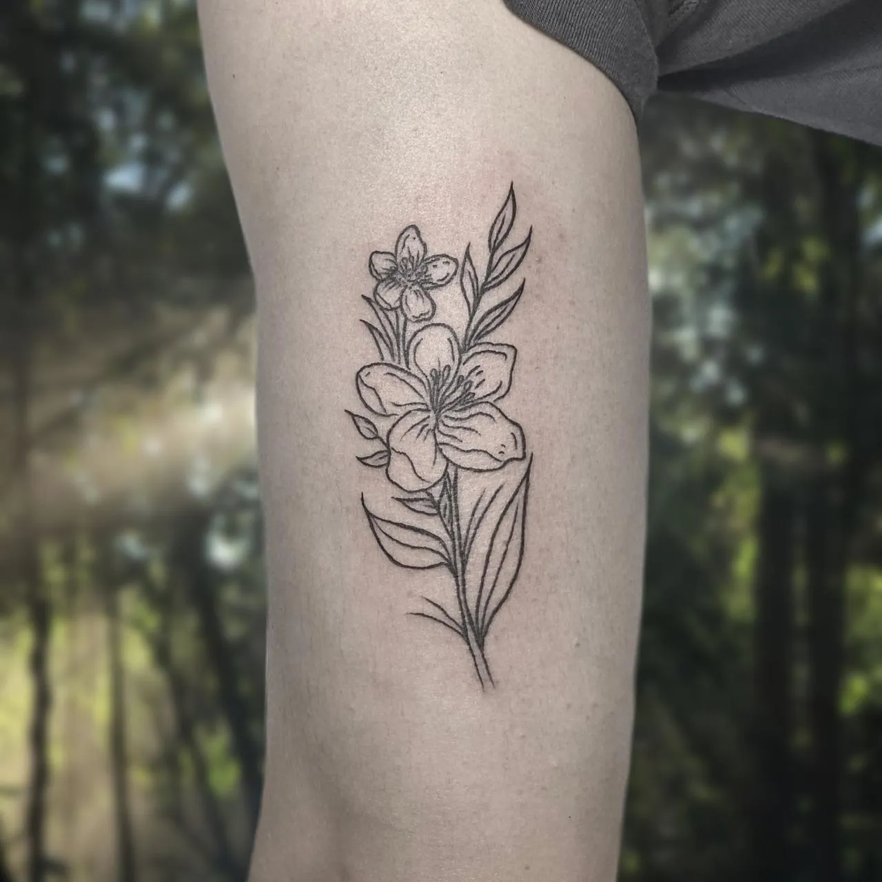 ๋ผ์ธ ๊ฝ ํํฌ - 1