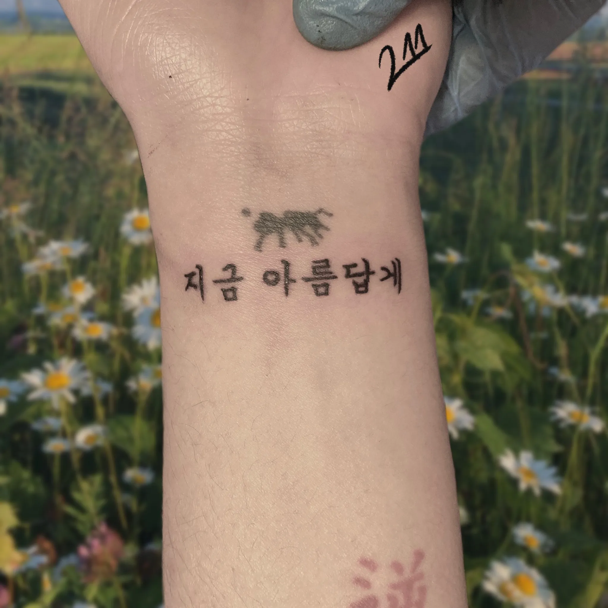 ์๋ชฉ ํ๊ธ ํํฌ - 1