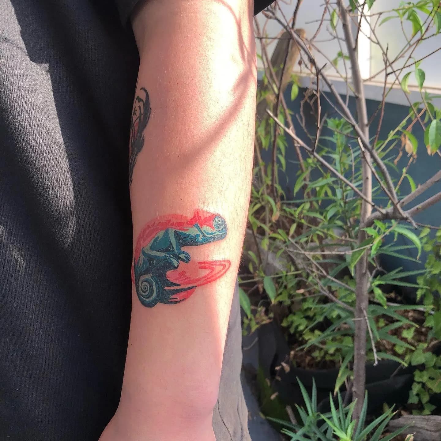 카멜레온 타투 - 1