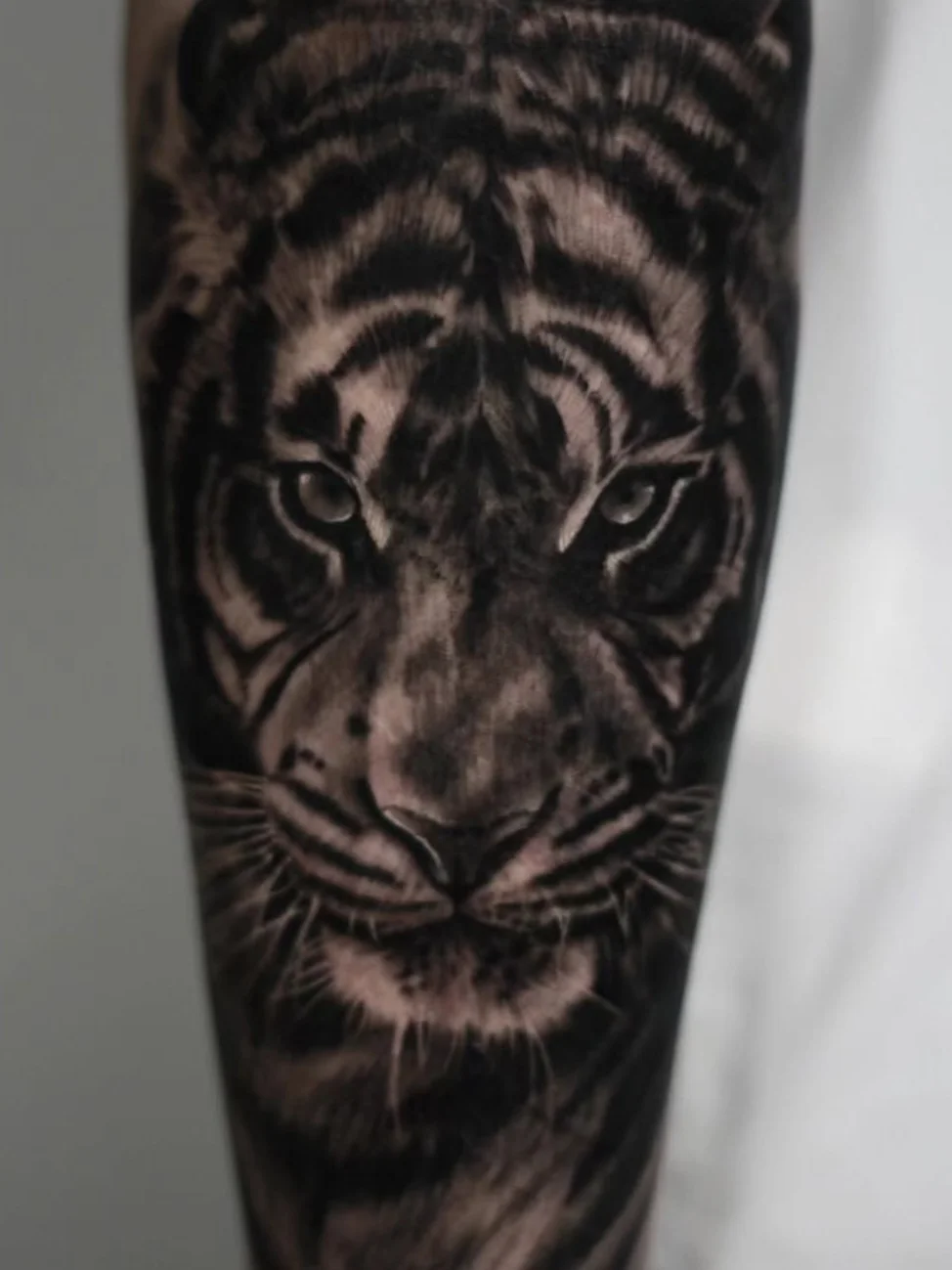 호랑이로 가리는 상처